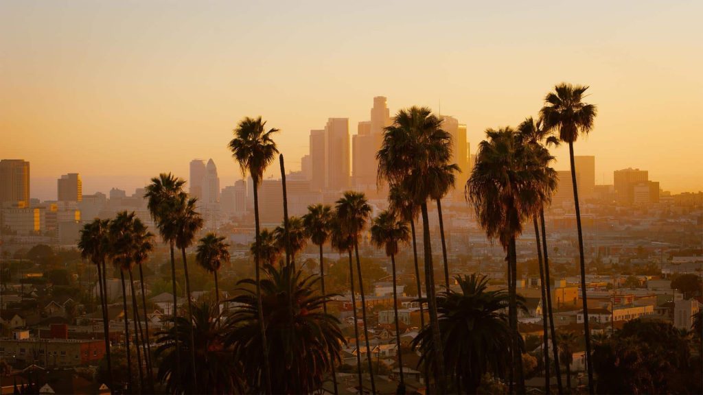 Downtown city skyline at sunset with tall palm trees in the foreground and buildings in soft golden light.